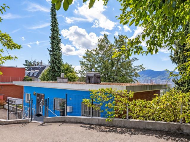Einfamilienhaus kaufen in Einigen, Zürich