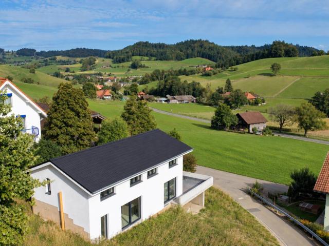 Einfamilienhaus kaufen
