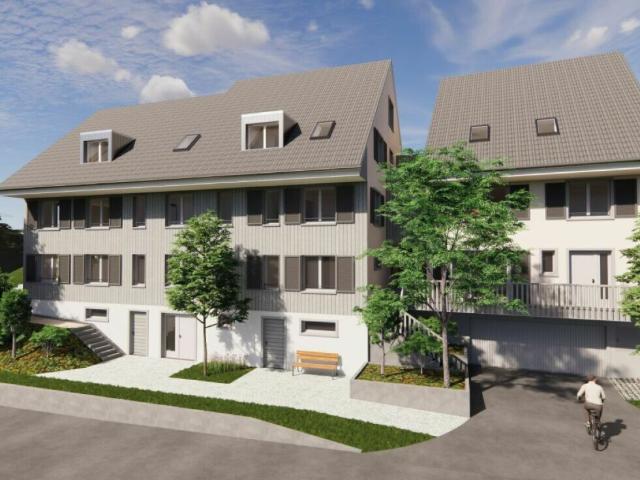 Einfamilienhaus kaufen in Villigen, Aargau