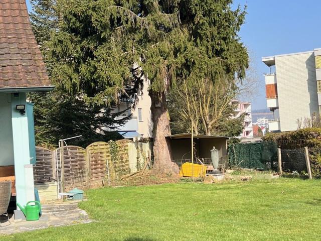 Einfamilienhaus kaufen in Wohlen (AG), Aargau