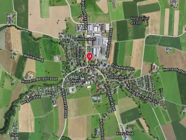 Einfamilienhaus kaufen in Auw, Bezirk Muri