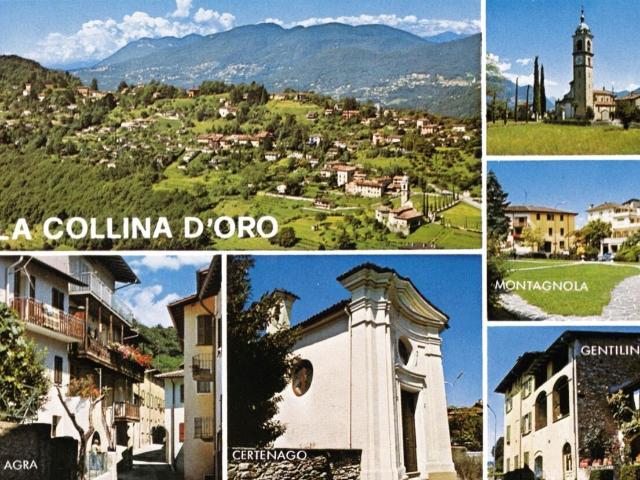 Einfamilienhaus kaufen in Collina d'Oro, Tessin