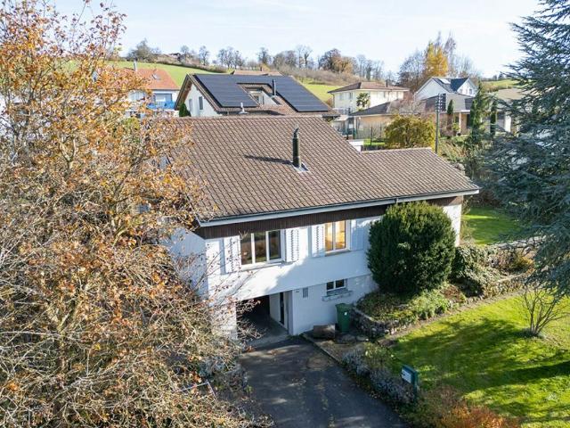 Einfamilienhaus kaufen in Menziken, Aargau