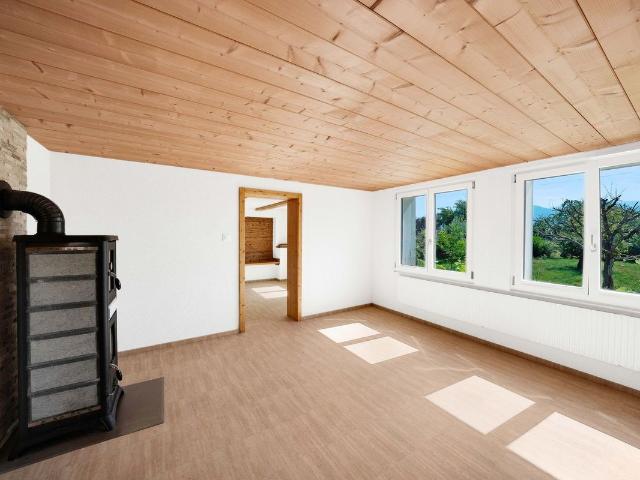 Einfamilienhaus kaufen in Kobelwald, Oberriet