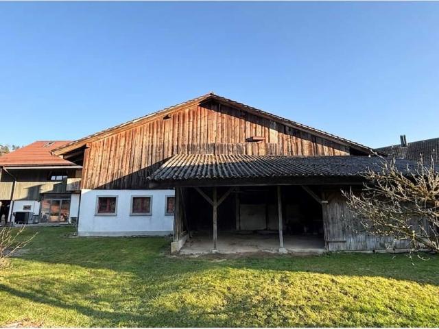 Einfamilienhaus kaufen in Madetswil, Russikon