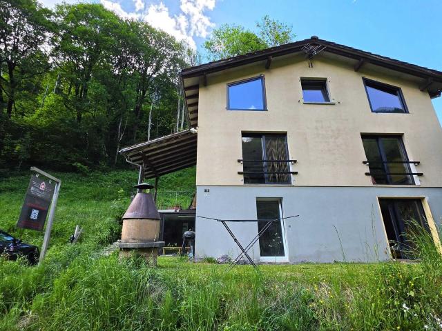 Einfamilienhaus kaufen in Schwendi im Weisstannental, Mels