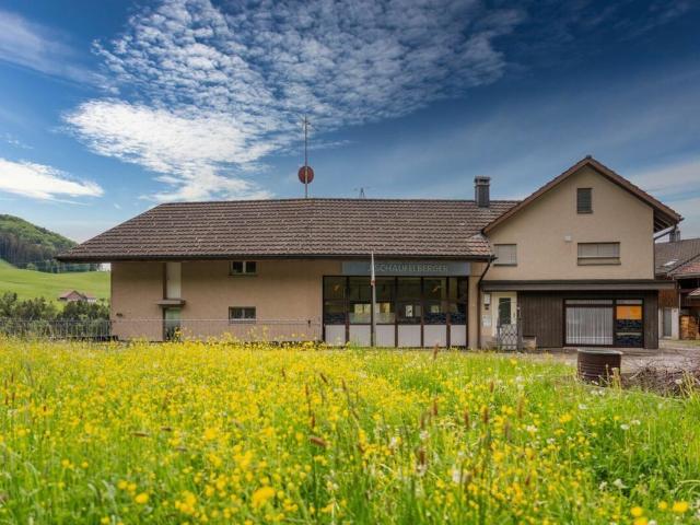 Einfamilienhaus kaufen in Laupen (ZH), Zürich
