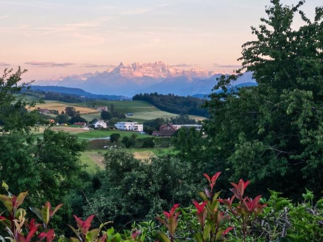 Einfamilienhaus kaufen