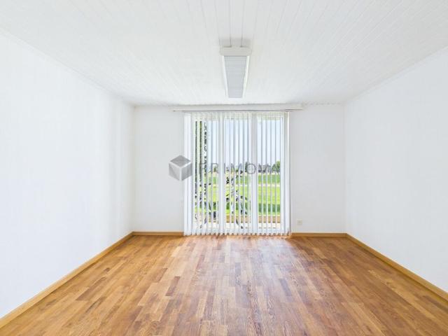 Einfamilienhaus kaufen