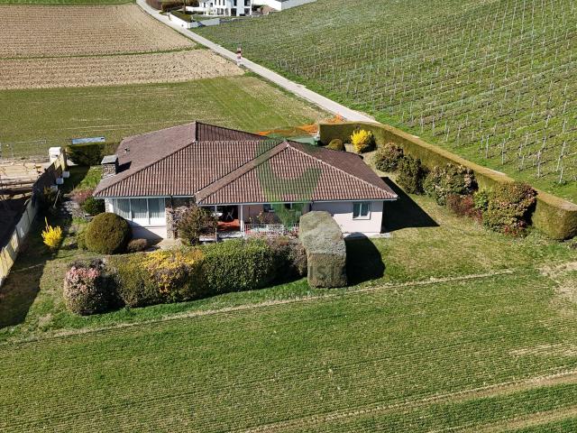 Einfamilienhaus kaufen in Morges, Waadt