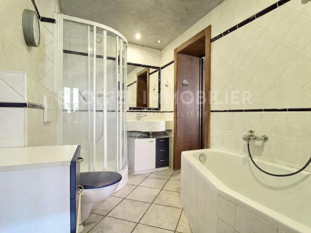 Einfamilienhaus kaufen