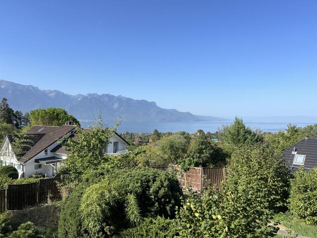 Einfamilienhaus kaufen