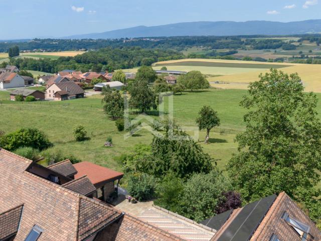 Einfamilienhaus kaufen in Daillens, Waadt