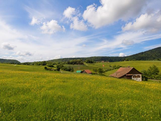 Einfamilienhaus kaufen in Reconvilier, Bern
