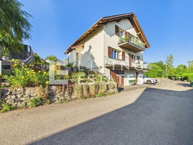 Einfamilienhaus kaufen in Widen, Aargau
