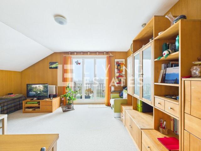 Einfamilienhaus kaufen in Widen, Bezirk Bremgarten