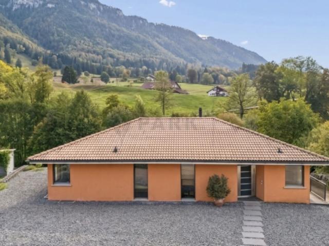 Einfamilienhaus kaufen