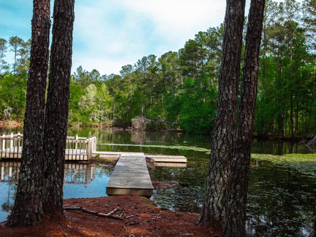 House for sale in Harlem, Georgia