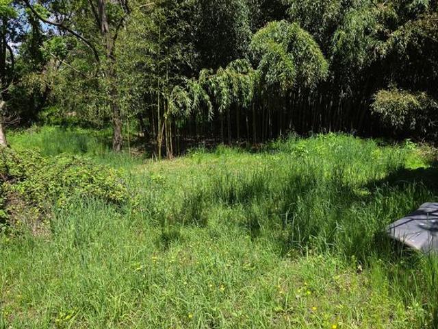 House for sale in Harrisburg, Pennsylvania