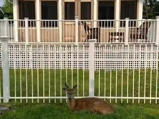 House for rent in Long Island City