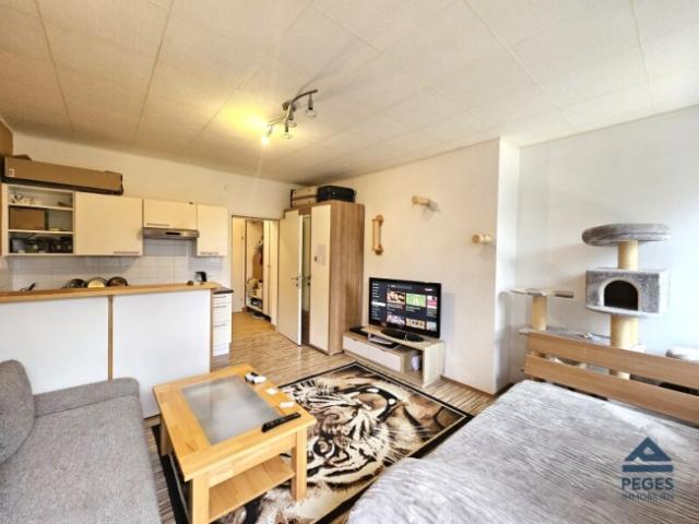 Wohnung mieten in Grödig, Bezirk Salzburg-Umgebung