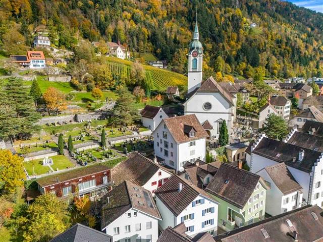 Einfamilienhaus kaufen in Altdorf (UR), Uri