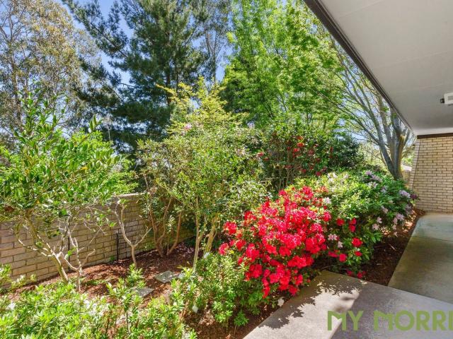 Property for sale in Mawson, District of Woden Valley