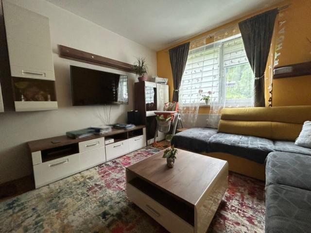 Etagenwohnung kaufen in Selzthal, Neulassing