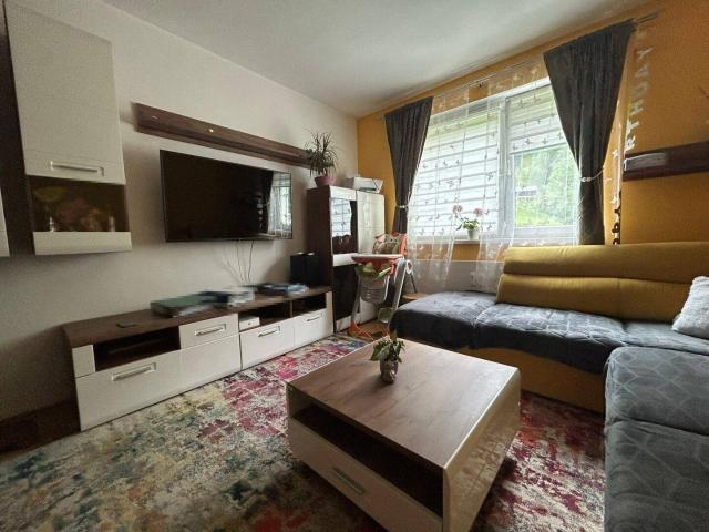 Apartment kaufen in Selzthal, Neulassing