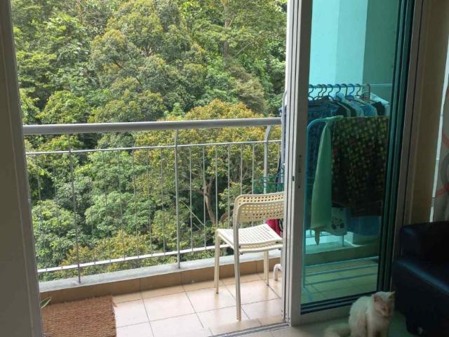 Room for rent in Petaling, Damansara Damai