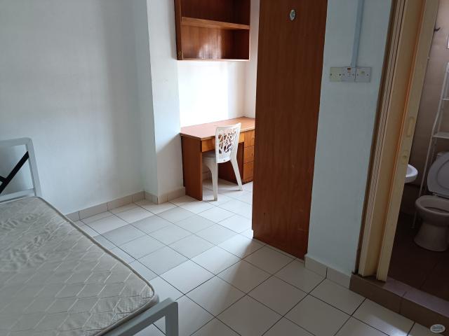 Room for rent in Petaling, Damansara Damai