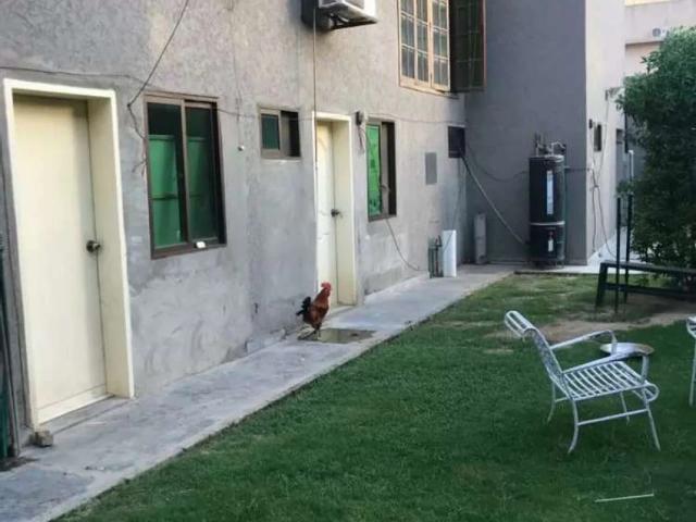 Apartment for rent in Rawalpindi, Islamabad Capital Territory