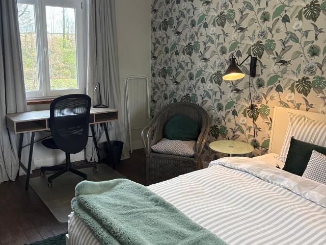 Studio te huur in Wittem, Partij
