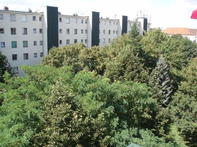 Apartment mieten in Neukölln, Berlin
