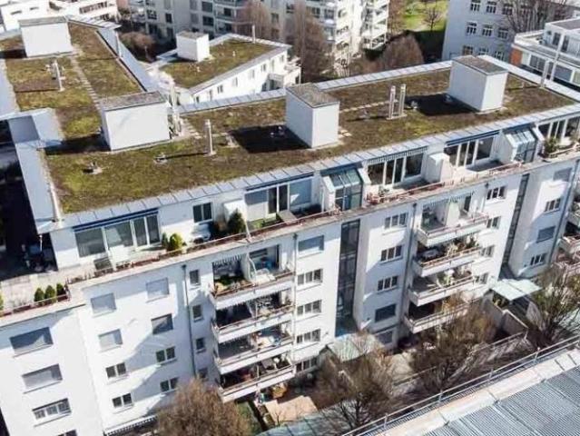 Apartment mieten in Tribschen, Luzern