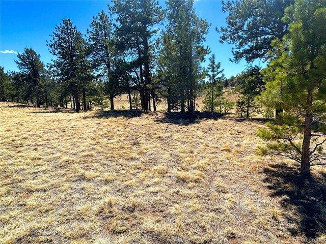 Land for sale in Chaffee, Colorado