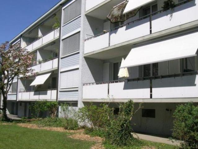 Apartment mieten in Telli, Aarau