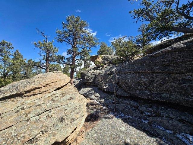 Land for sale in Red Feather Lakes, Colorado