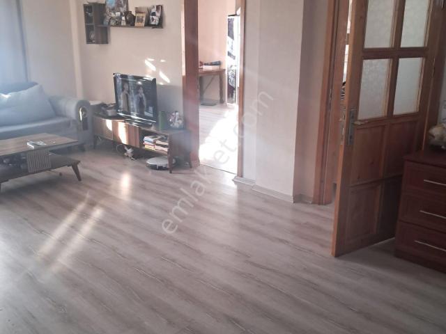 Sinop Merkez, Sinop içerisinde kiralık mülk