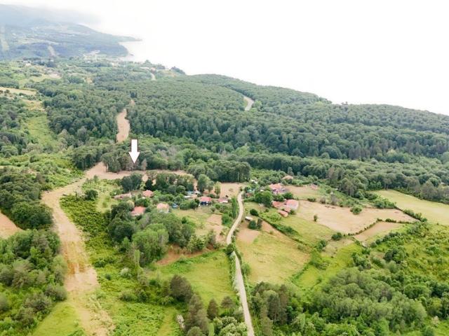 Ağaçlı, Ayancık içerisinde satılık Arsa
