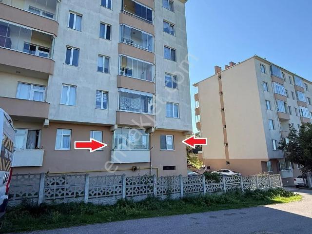 Gelincik Mahallesi, Sinop Merkez içerisinde kiralık mülk