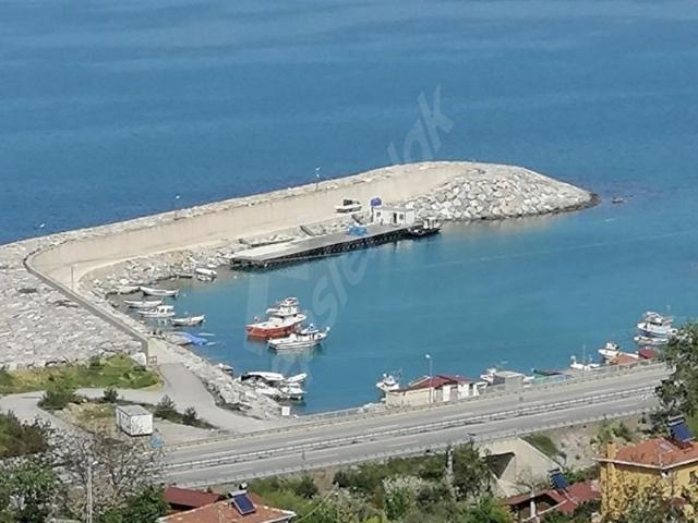 Gerze, Sinop içerisinde satılık Arsa