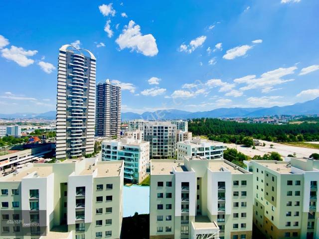 Denizli içerisinde kiralık mülk