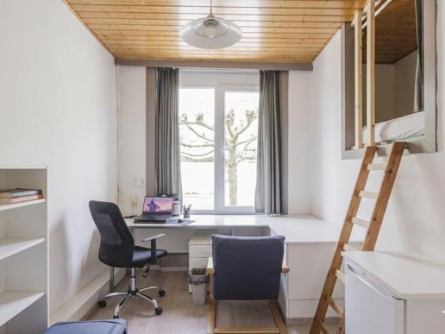Kamer location à Courtrai, West-Vlaanderen