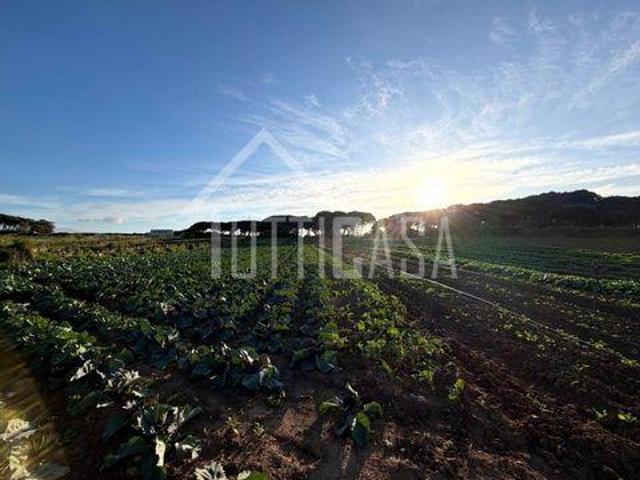 Terreno venda em Alfaquiques, Sintra