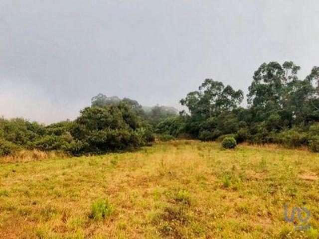 Terreno venda em Casal de Santo André, Sintra