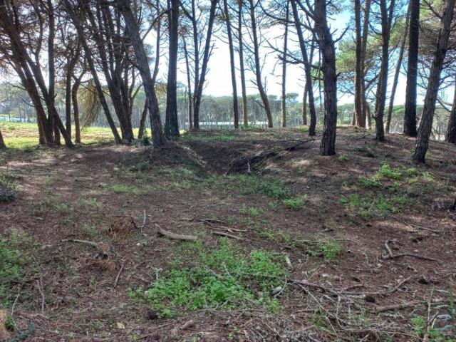 Terreno venda em Janas, Sintra