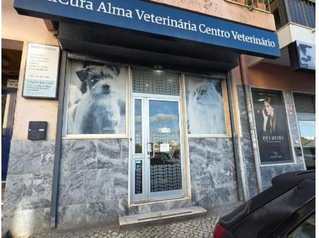 Loja alugar em Sintra, Lisboa