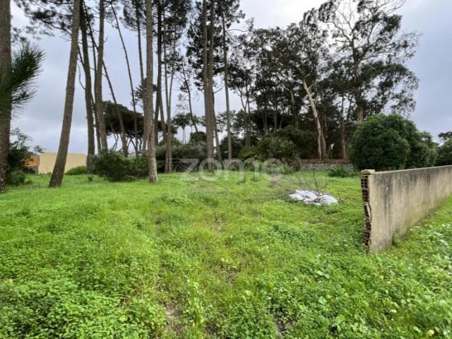 Terreno venda em Sintra, Lisboa