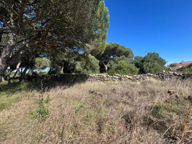 Terreno venda em Sintra, Lisboa